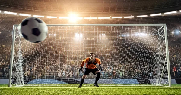 Kaleci profesyonel futbol stadyumu bir atlama bir hedefi kaydetmek çalışıyor. Stadyum ve kalabalık 3d yapılır.