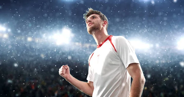 Soccer player celebrates a victory on the professional stadium while its snowing. Stadium and crowd are made in 3d.