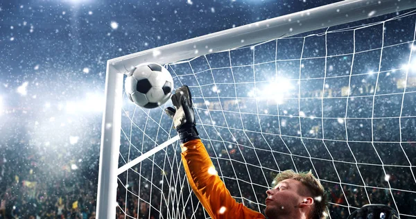 Goalkeeper tries to save from a goal on a professional soccer stadium while it\'s snowing. Stadium and crowd are made in 3D.