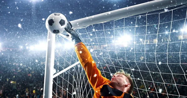 Goalkeeper tries to save from a goal on a professional soccer stadium while it\'s snowing. Stadium and crowd are made in 3D.