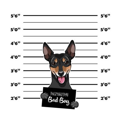 Rus oyuncak Terrier suçlu. Polis afiş. Tutuklama fotoğraf. Polis, polis mugshot, sanatçısını tasarlamak. Polis Departmanı afiş. Oyuncak Terrier suçlu. Vektör.