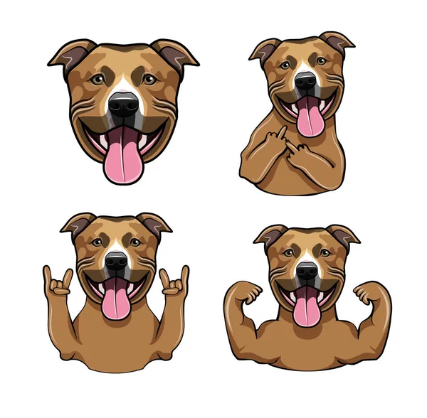 Staffordshire Terrier. Rock jest, orta parmak, kasları, namlu, boynuzları. Dog Head'a. Staffordshire Terrier doğurmak. Köpek portre. Vektör.