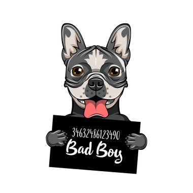 Buldozer kötü çocuk. Köpek hapishane. Tutuklama fotoğraf. Polis mugshot arka plan. Bulldog köpek suçlu. Köpek tutuklandı. Vektör.