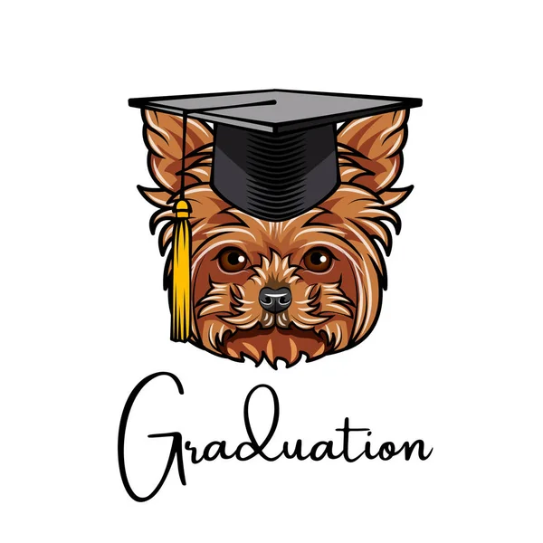 Graduado de Yorkshire terrier. Gorra de graduaciones. Retrato de perro. Yorkshire terrier head. Texto de graduación. Vector . — Archivo Imágenes Vectoriales