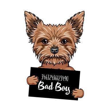 Yorkshire korkunç kötü çocuk. Köpek hapishane. Polis mugshot. Yorkshire terrier suçlu. Tutuklama fotoğraf. Vektör.