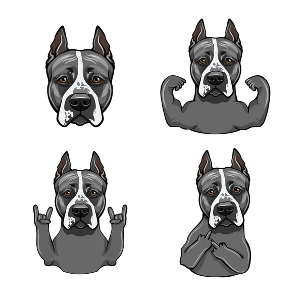 Amerikai Staffordshire Terrier. Rock gesztus, izmok, a fej, a szarv, a középső ujj. Kézmozdulat-készletet. Aranyos kutya. Vektor. — Stock Vector