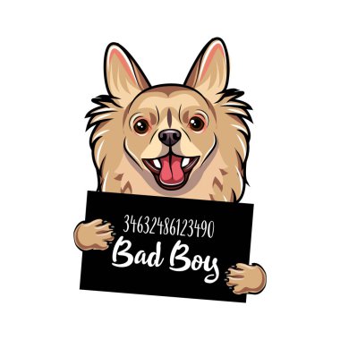 Chihuahua kötü çocuk. Köpek hapishane. Polis mugshot. Chihuahua suçlu. Tutuklama fotoğraf. Vektör.