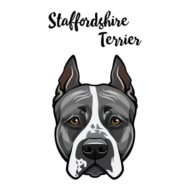 Retrato de Staffordshire Terrier. Cabeça de cão. Cara de cão doméstico. Staffordshire terrier espécie. Vetor . —  Vetores de Stock