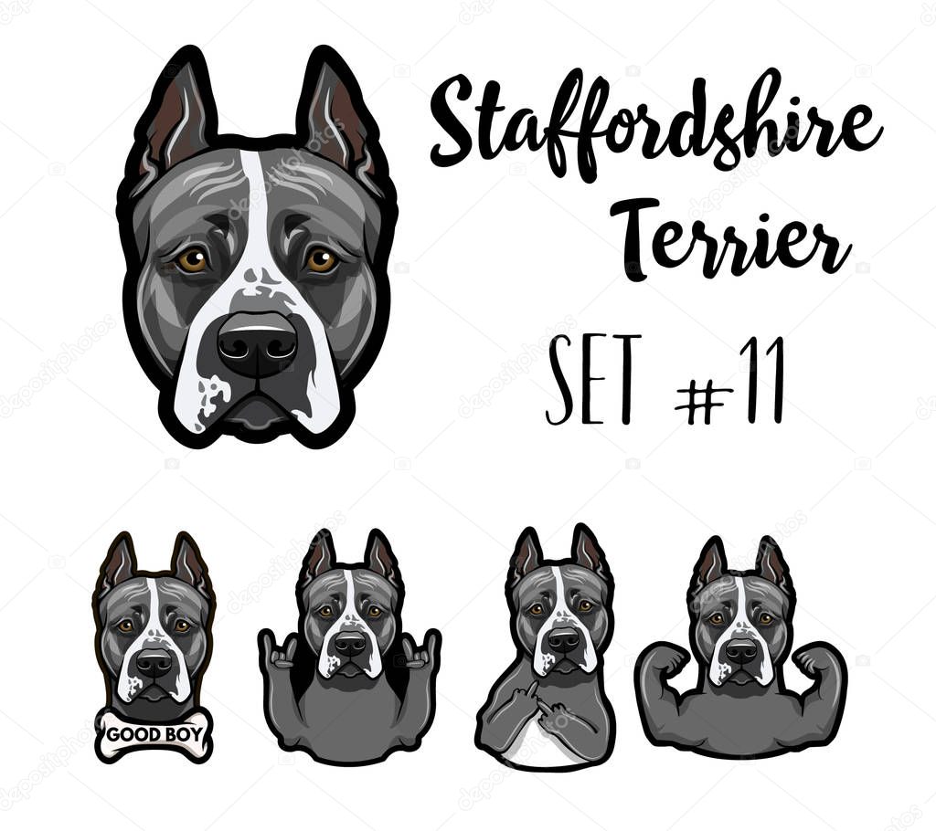 Staffordshire Terrier. Gestures set. Middle finger, Horns, Bone, Rock gesture. Dog portrait. Staffordshire Terrier head, face. Vector.