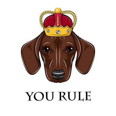 Dachshund kral. Taç simgesi. Sen yazıt kural. Kraliyet sembolü. Vektör.