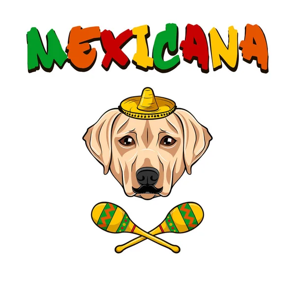 Labrador perro recuperador. Maracas, Sombrero, bigote. Símbolos México. Vector . — Vector de stock