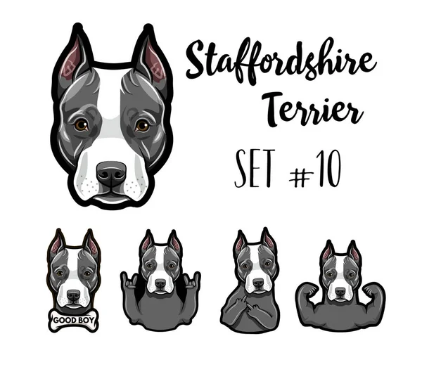Staffordshire Terrier kutya. Állítsa be a gesztusok. Izmok, csont, szarv, Rock gesztus, középső ujj. Kutya portré. Staffordshire terrier fej, arc, pofa. Vektor. — Stock Vector