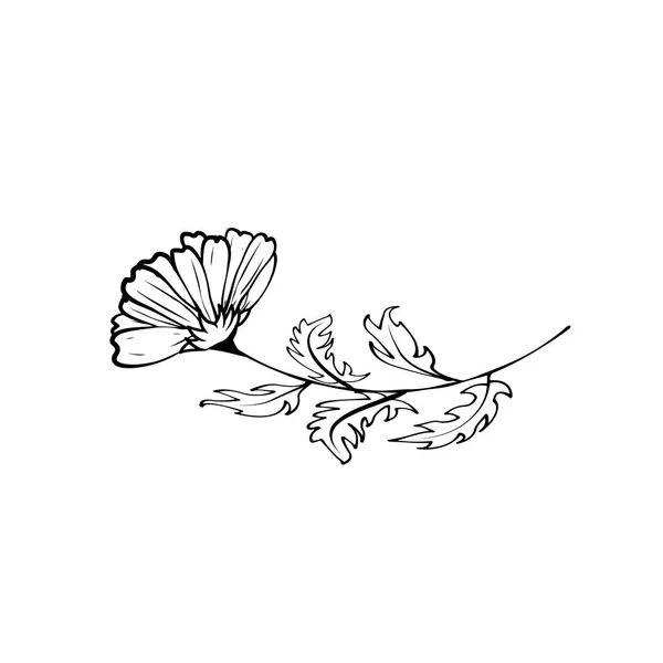 Hand-tekening van een bloem — Stockvector