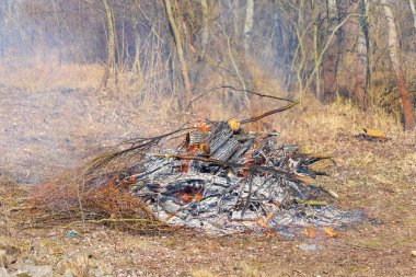 Kesilen ormandan yanan budama ve odun parçaları. Sıcak kömürlü ve dumanlı bir ateş havaya karışıyor..