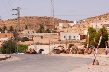 Matmata, Tunus 'ta Deve Yolu.