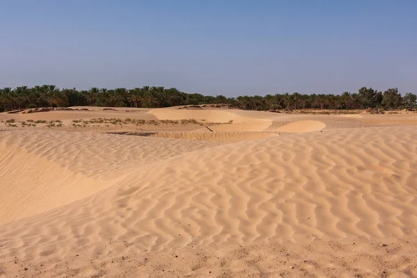 Dune Sabbia Nel Deserto Tunisia Sfondo Cielo Blu Senza Nuvole — Foto Stock