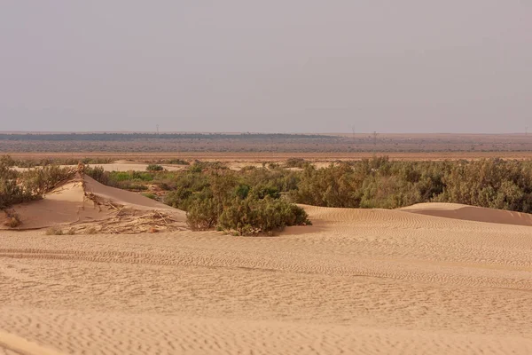 Dune Sabbia Nel Deserto Tunisia Sfondo Cielo Blu Senza Nuvole — Foto Stock