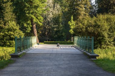 Nehrin üzerindeki köprü. Kenarında yeşil bir korkuluk var. Köprünün ortasında bir tavus kuşu var.