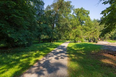 Bahçedeki patika. Yolun yanında bir çayır ve ağaçlar var. Arka planda mavi bir gökyüzü var. Yolda ağaçların gölgeleri var.