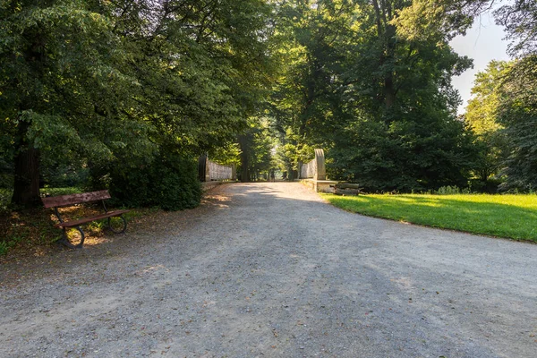 Beautiful Bridge Which Road Leads Bench Road Background Alley Tree — Stock Photo, Image