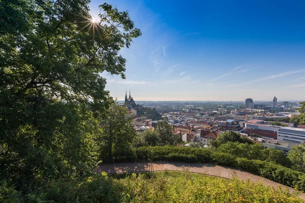 Вид Місто Брно Чеській Республіці Європі Можна Побачити Собор Святого — стокове фото