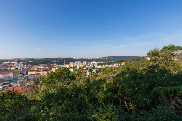 Çek Cumhuriyeti Nin Avrupa Daki Brno Kentinin Manzarası Arka Planda — Stok fotoğraf