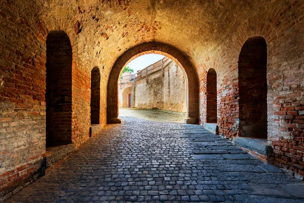 Passage through the tunnel. There is an old brick wall on the sides. At the end of the tunnel is a vaulted vault with a view.