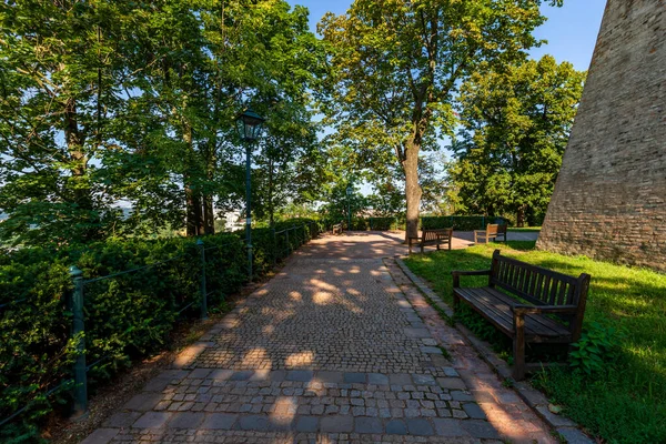 Der Weg Park Ist Von Bäumen Gesäumt Gibt Schatten Von — Stockfoto