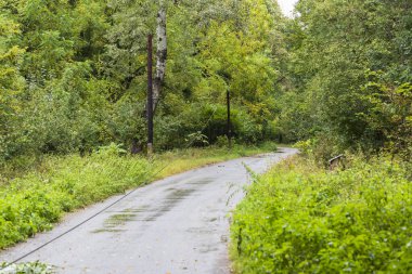 Elektrik kabloları yola düşmüş..