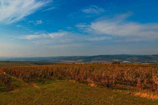 Una Vista Del Paesaggio Dalla Torre Vedetta Kobyli Moravia Nella — Foto Stock