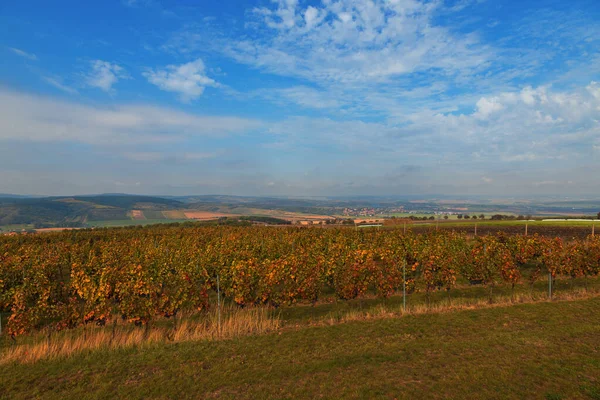 Una Vista Del Paesaggio Dalla Torre Vedetta Kobyli Moravia Nella — Foto Stock