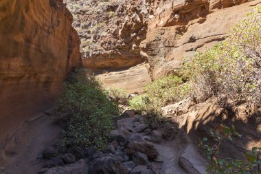 Barranco De Las Vacas kanyonu - Büyük Kanarya İspanya