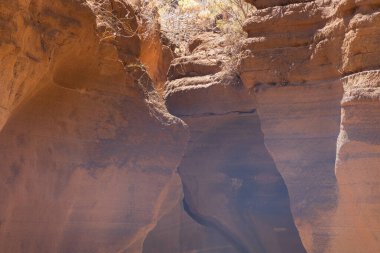 Barranco De Las Vacas kanyonu - Büyük Kanarya İspanya