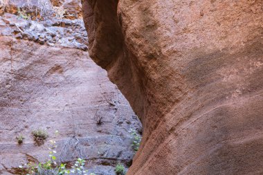 Barranco De Las Vacas kanyonu - Büyük Kanarya İspanya