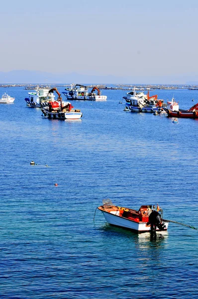 Αλιευτικό Λιμάνι Από Νησί Της Arousa Στην Γαλικία Ισπανία — Φωτογραφία Αρχείου