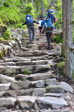 Lysefjord-Norveç, Norveç veya preikestolen sözde minber 05-Haziran-2017 turistler