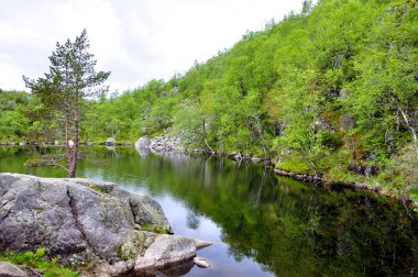 Lysefjord-Norveç, Norveç veya preikestolen sözde minber 05-Haziran-2017 turistler