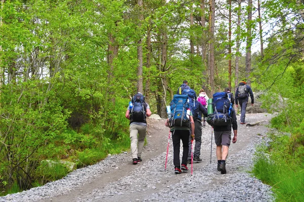 Lysefjord-Norveç, Norveç veya preikestolen sözde minber 05-Haziran-2017 turistler