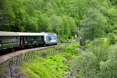 Norveç'te ünlü Flam tren yol sayısı