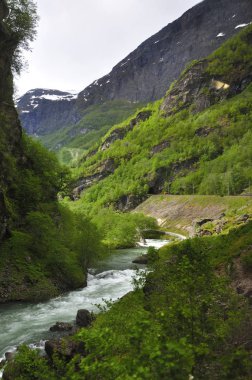 Norveç'te ünlü Flam tren yol sayısı