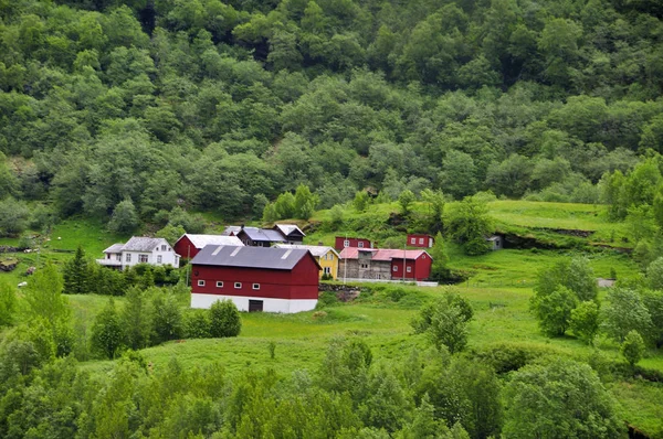 Widoki Trasie Słynnego Pociągu Flåm Norwegii — Zdjęcie stockowe