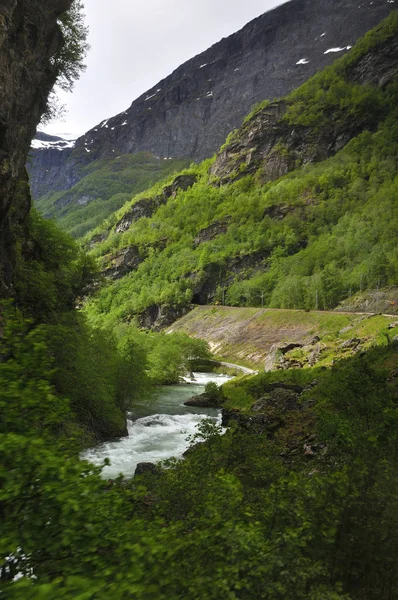 Útvonal Híres Flam Vonat Norvégiában Views — Stock Fotó