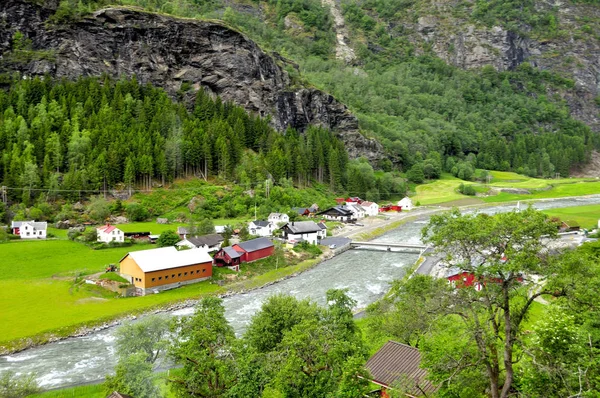 ノルウェーの有名なフラム鉄道のルートのビュー — ストック写真