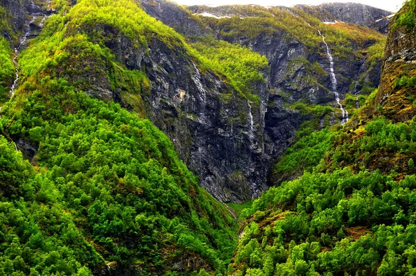 Sognefjord Fjord Fut Keresztül Híres Város Flam Híres Táj Kisvonat — Stock Fotó