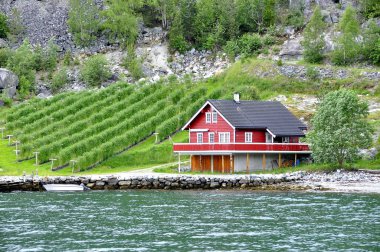 Sognefjord fiyort ünlü şehir, Flam onun doğa ve onun turistik tren için ünlü ile çalışır