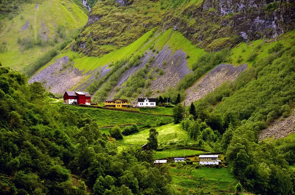 Fiordo Sognefjord Recorre Famosa Ciudad Flam Famosa Por Sus Paisajes —  Fotos de Stock