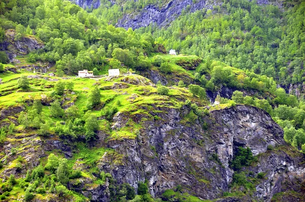 Sognefjord Fjord Fut Keresztül Híres Város Flam Híres Táj Kisvonat — Stock Fotó
