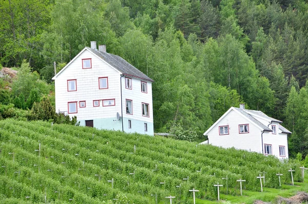 Sognefjord 峡湾通过著名的火焰镇著名的风景和它的旅游火车 — 图库照片