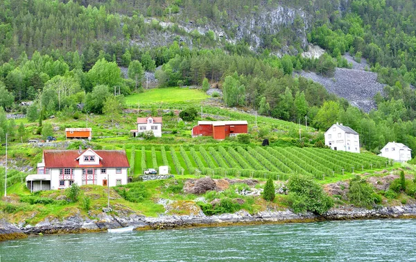 Sognefjord Fjord Loopt Door Beroemde Stad Van Flam Beroemd Haar — Stockfoto