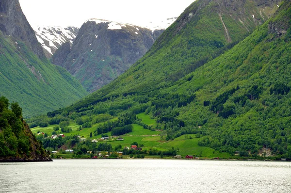 Sognefjord Fjord Fut Keresztül Híres Város Flam Híres Táj Kisvonat — Stock Fotó